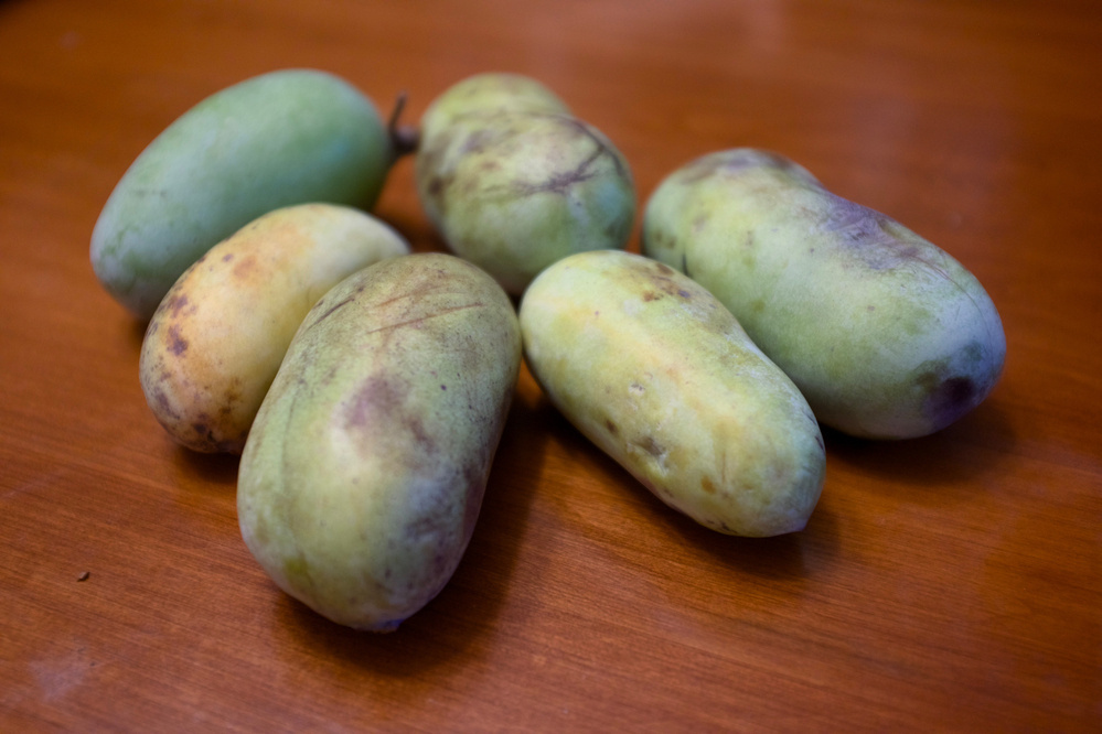 Six greenish, ripe pawpaw fruits are scattered on a wooden surface.