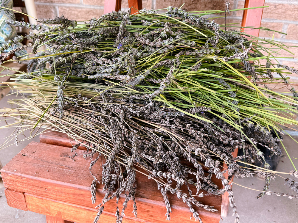 A bundle of dried lavender flowers rests on a wooden surface.
