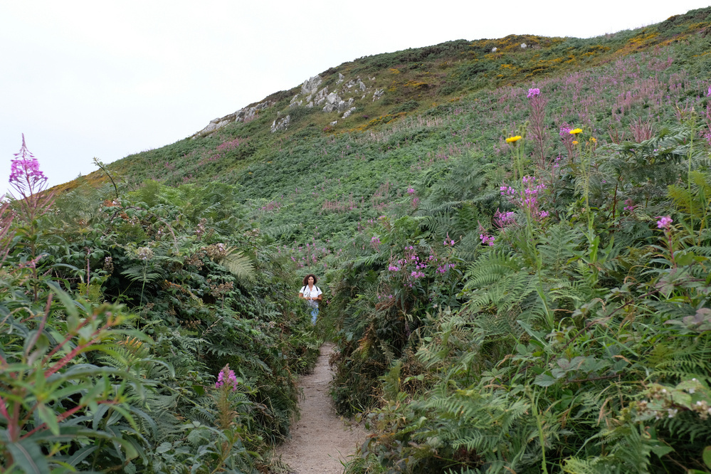 A person walks along a narrow dirt path surrounded by lush greenery and purple flowers, with a hill in the background.