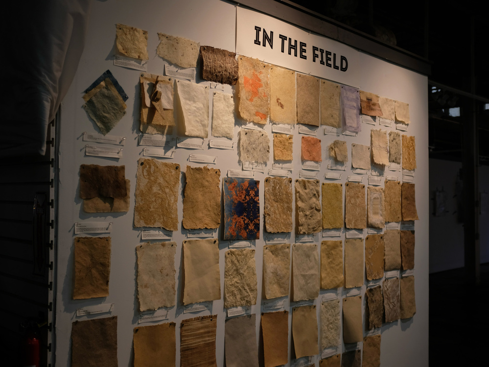 A display wall showcases various textured and colored paper samples under the title IN THE FIELD.
