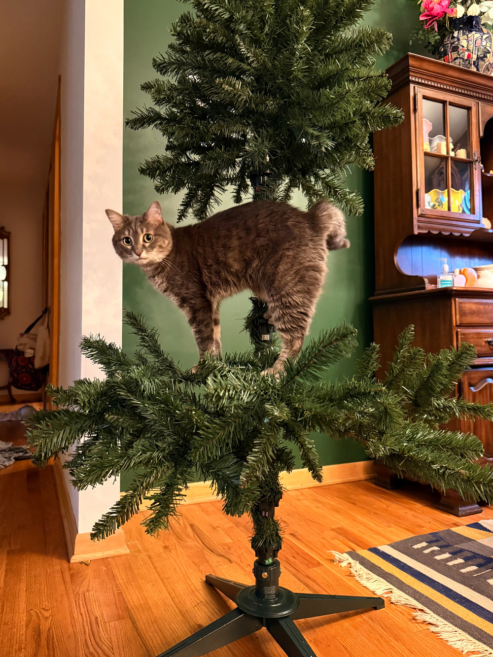 A cat is perched on the branches of an artificial Christmas tree inside a room.