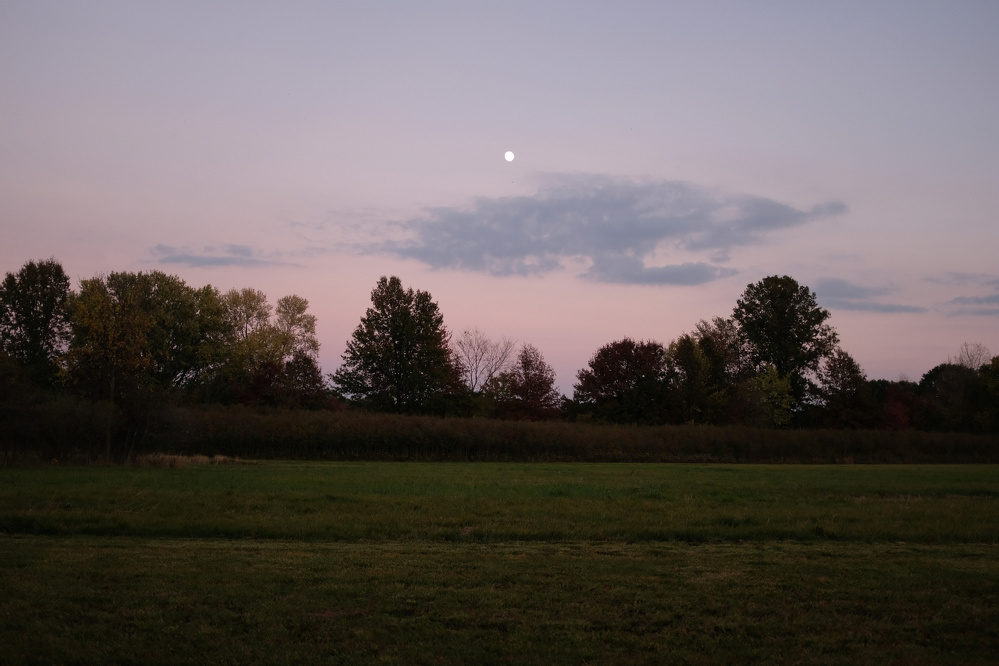 A serene twilight sky with a visible moon hangs over a line of trees and a grassy field.