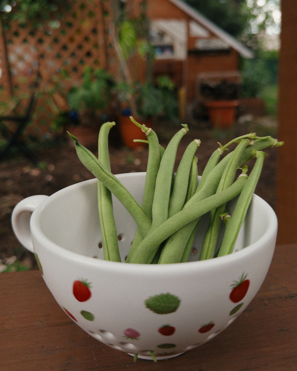 A white ceramic bowl decorated with illustrations of strawberries and leaves holds several fresh green beans on a wooden surface in a garden setting.