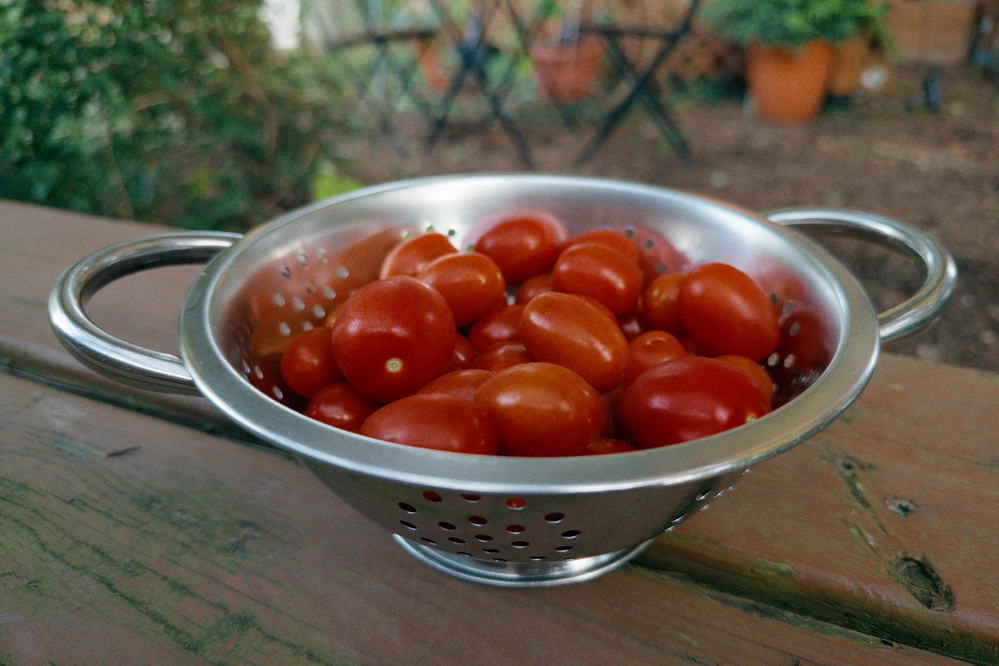 A metal colander filled with fresh red cherry tomatoes is placed on a wooden surface outdoors.