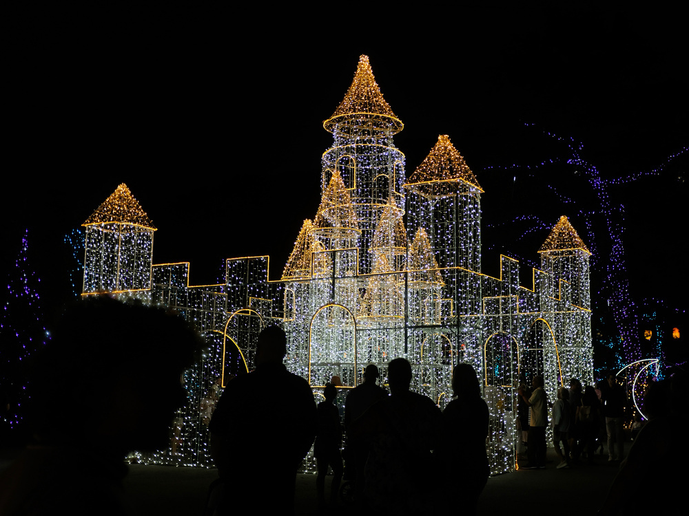 A large castle structure made of numerous white and yellow lights is illuminated against the night sky, with several people silhouetted in the foreground.