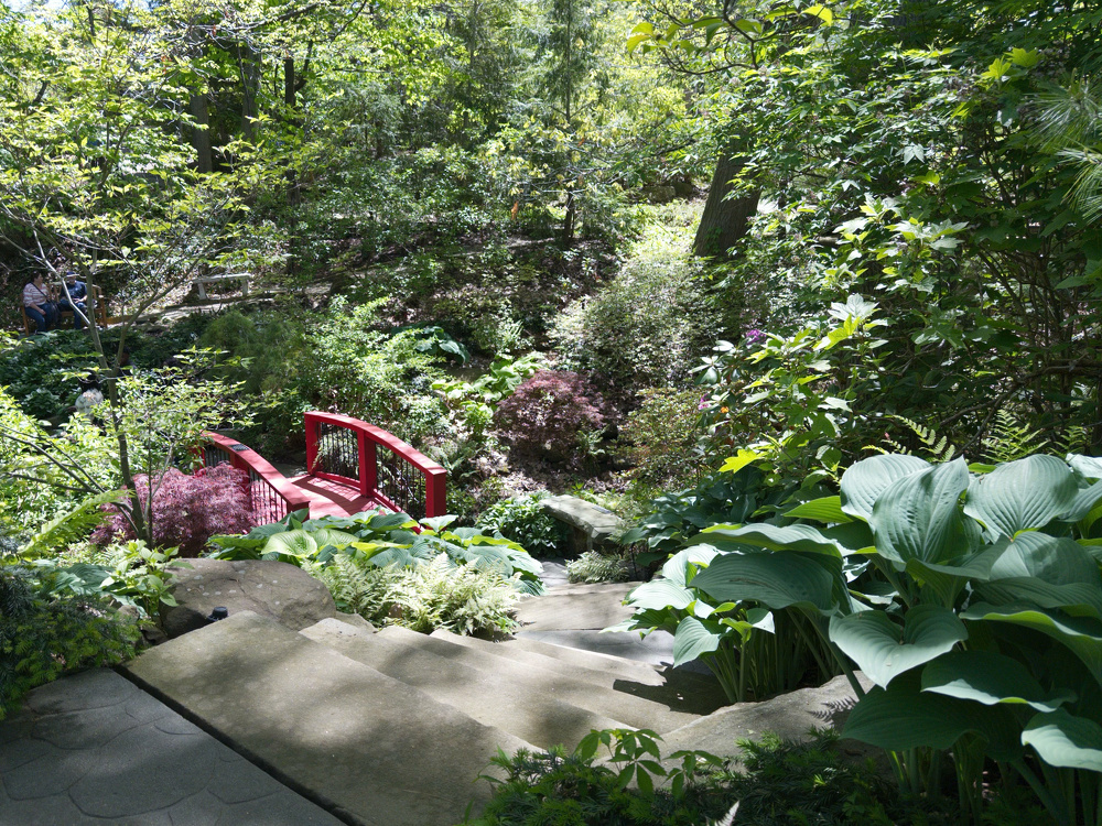 A serene garden scene features a red bridge, surrounded by lush greenery and vibrant plants.
