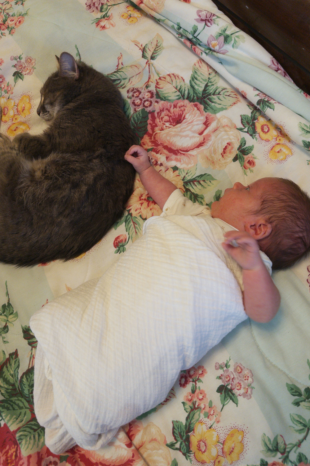 A swaddled baby is lying on a floral bedspread next to a sleeping grey cat.