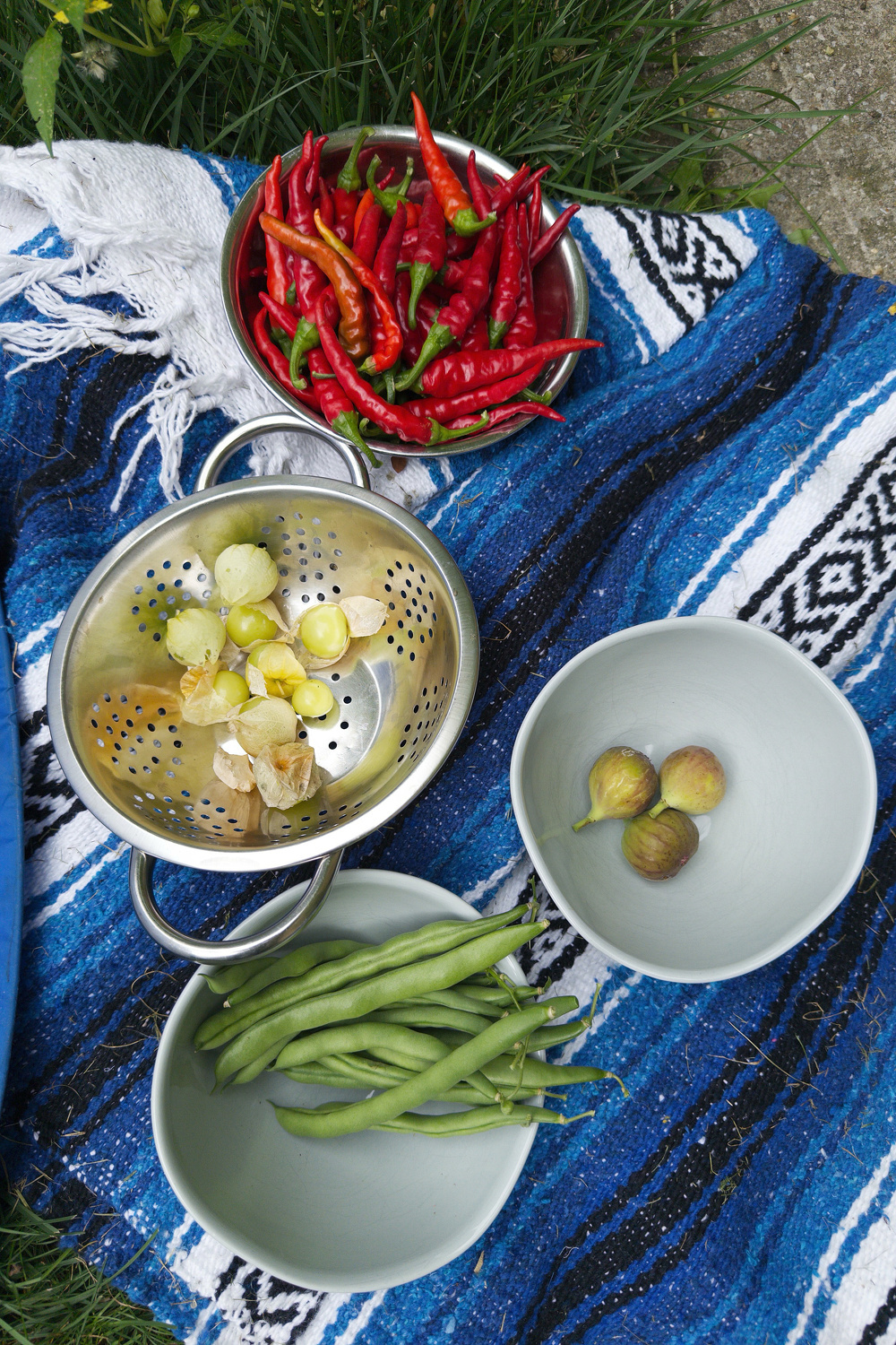 A variety of fresh produce including red chili peppers, gooseberries, figs, and green beans is arranged on bowls and a colander atop a blue patterned blanket.