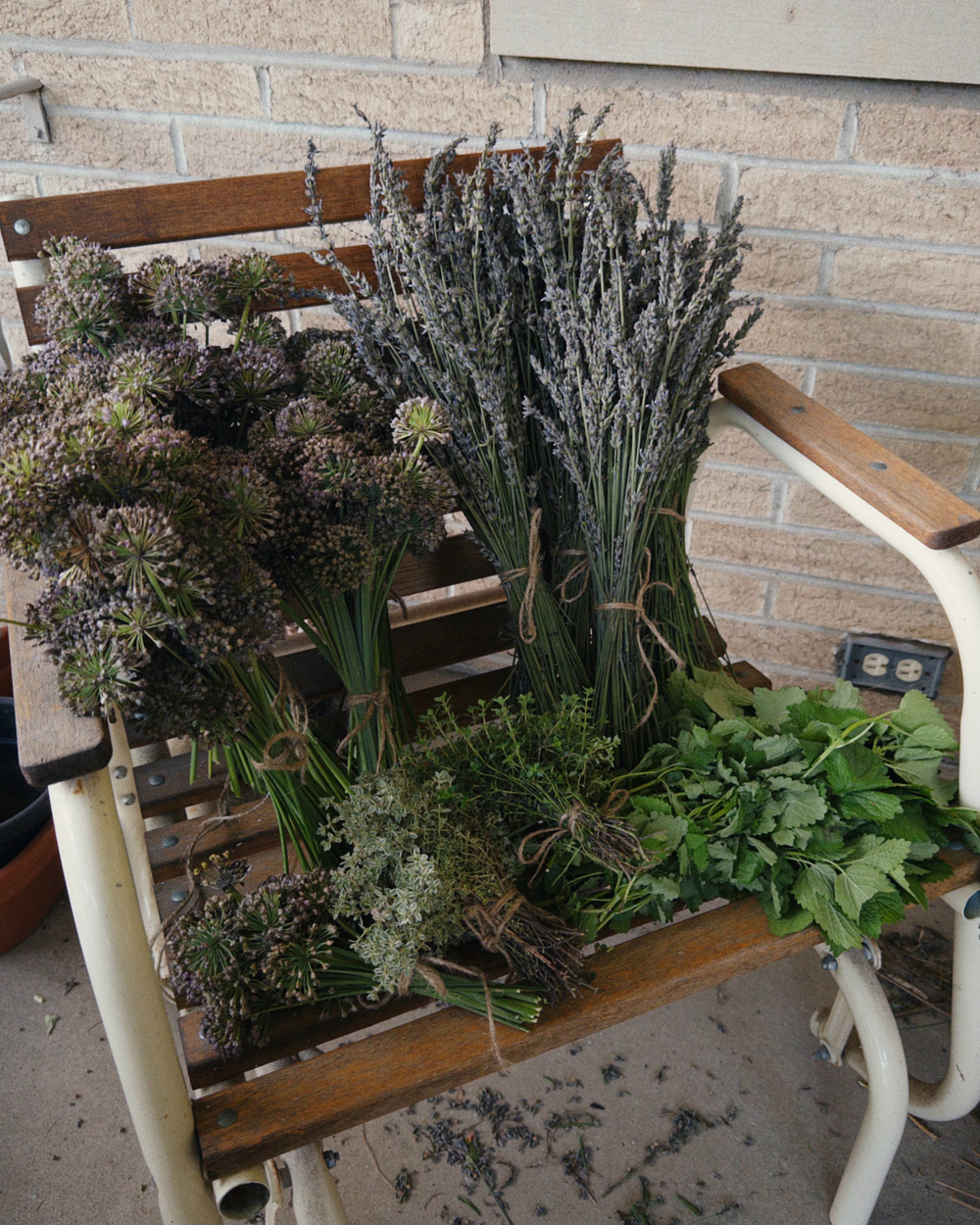 Several bundles of dried and fresh herbs are arranged on a wooden and metal chair with a brick wall in the background.