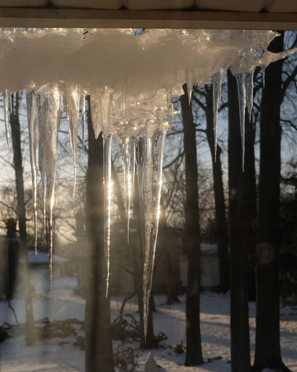 Icicles hang from a roof edge, glistening in the sunlight with a snowy landscape and leafless trees in the background.