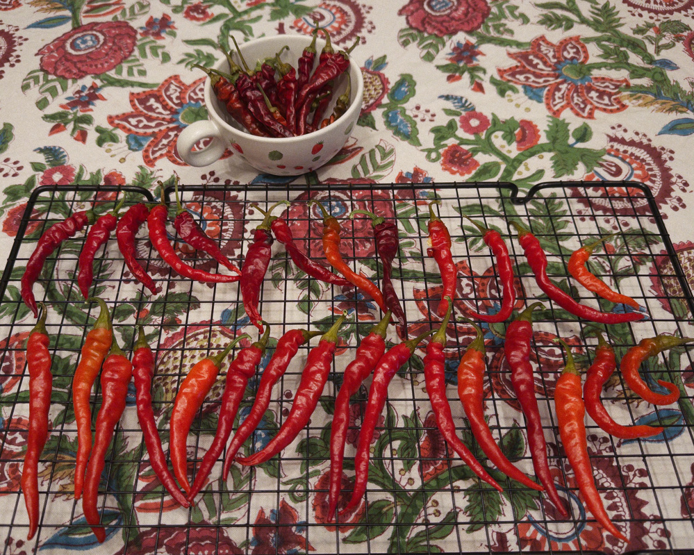 A collection of red and orange chili peppers is spread out on a cooling rack, with additional dried chili peppers placed inside a white cup with polka dots, all set on a colorful patterned tablecloth.