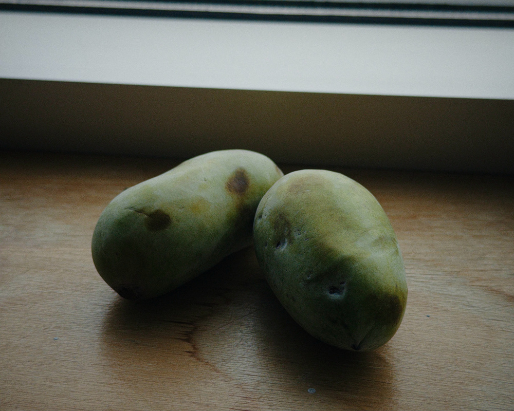 Two green mangoes with some dark spots are placed on a wooden surface near a window.