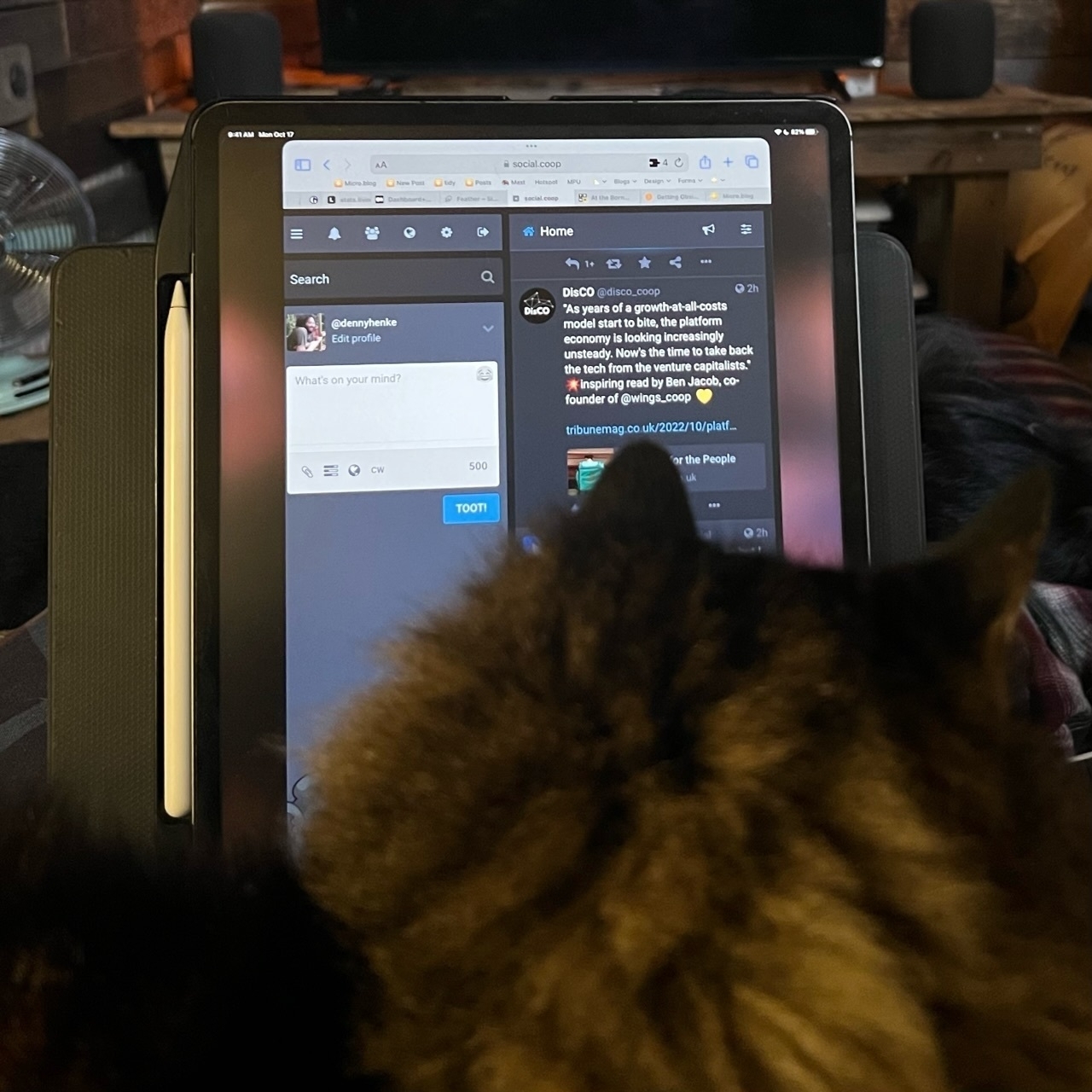 A cat in the lap, iPad propped up in portrait orientation behind her