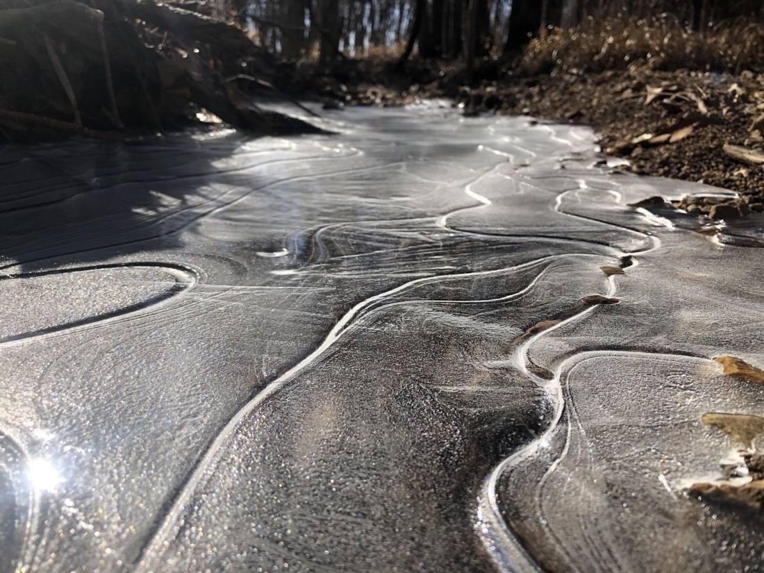 A frozen creek, the ice has interesting textures and sunlight is reflecting on the surface ￼