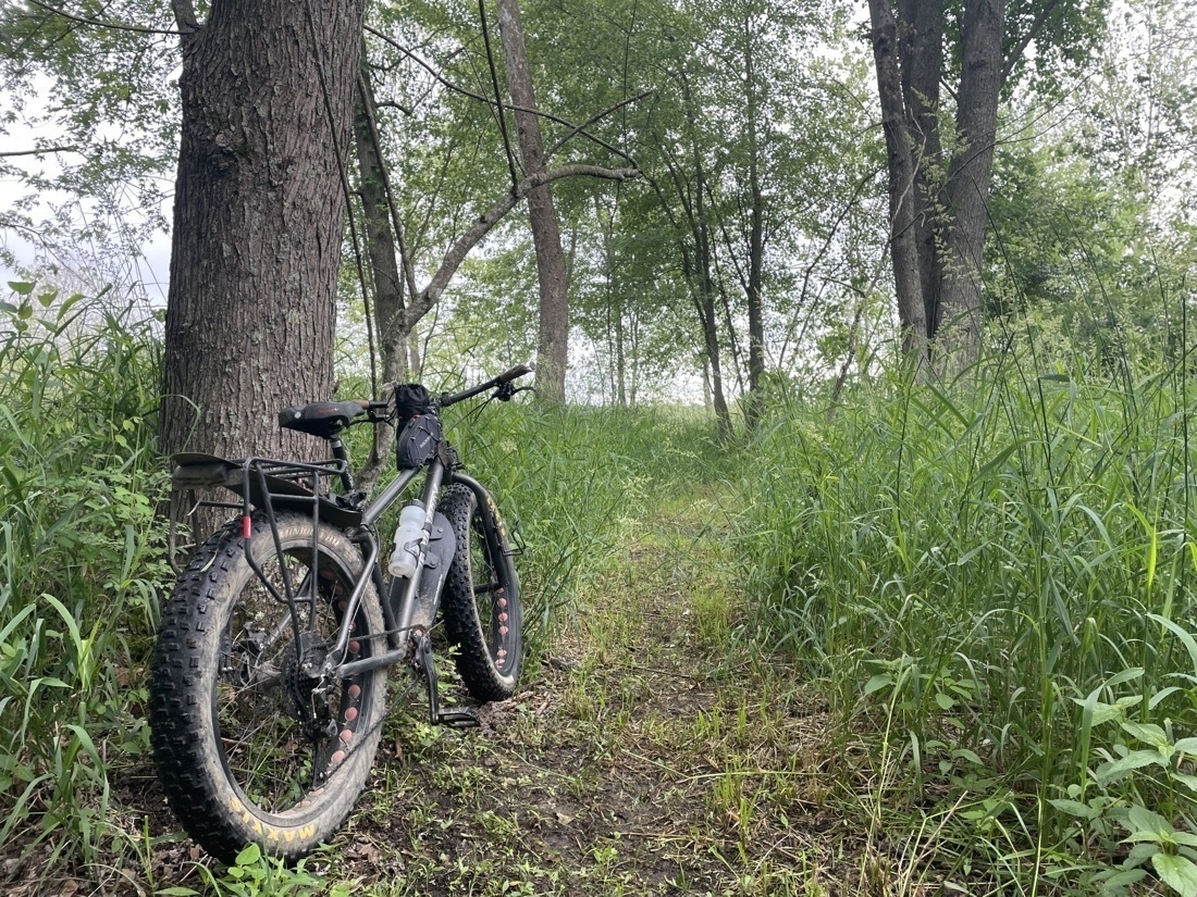 A black bike with oversized tires leans against a tree, surrounded by tall grass and trees