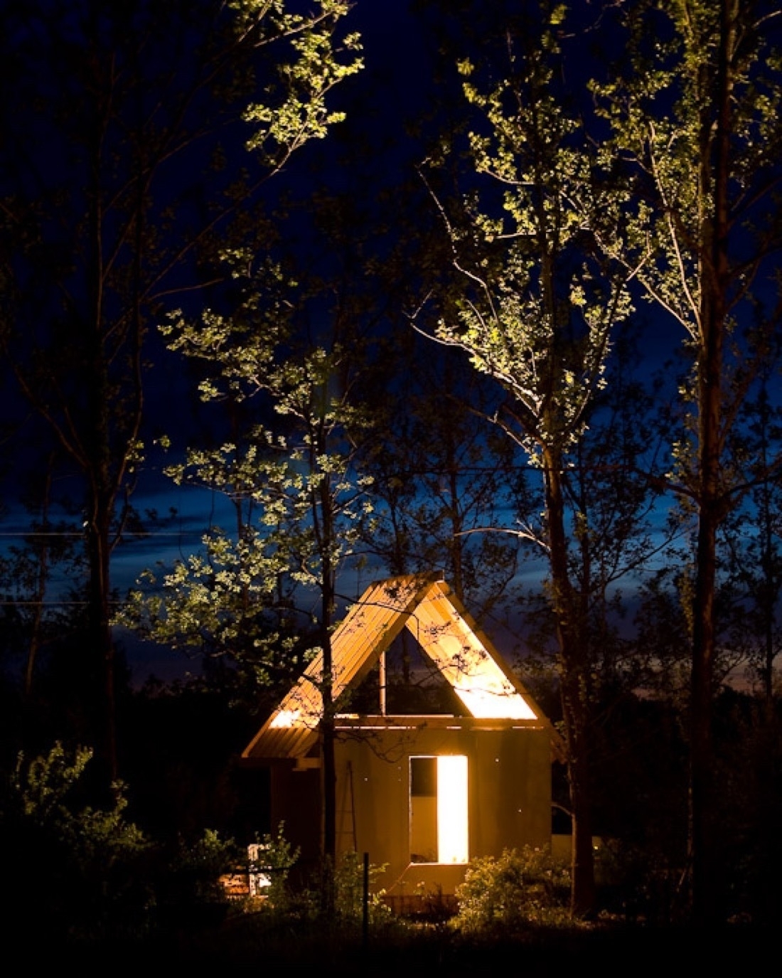 A tiny house in construction, the image taken at night with very dark blue skies, there are lights inside the cabin illuminating the framed roof and walls. As well as the tree branches above