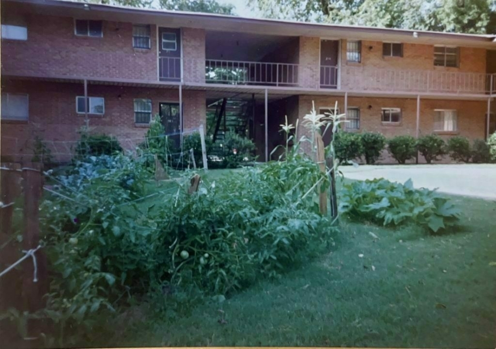 a garden area, surrounded by lawn in the center of an apartment complex