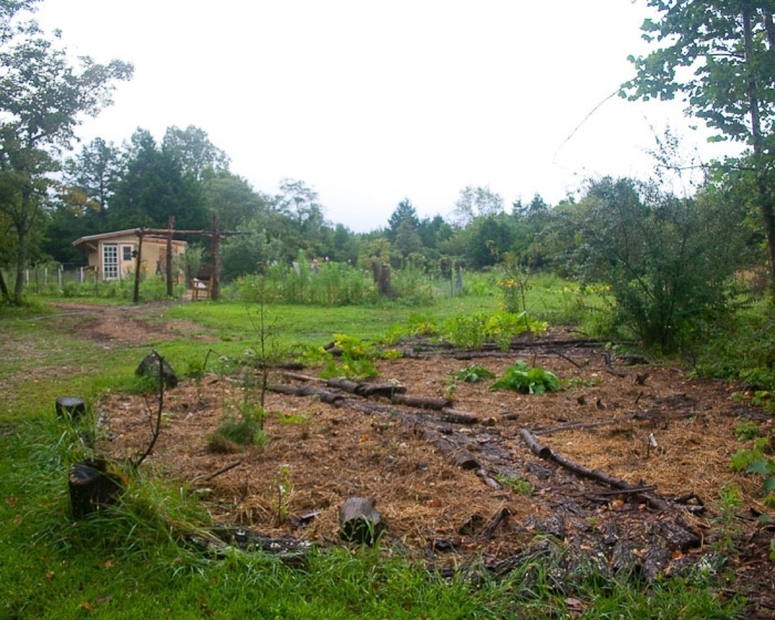 Foreground is a garden area mulched by straw with bark paths. Planted in the straw are small fruit trees. Grass is visible in the foreground and background. Further in the background is a small structure and tree line 