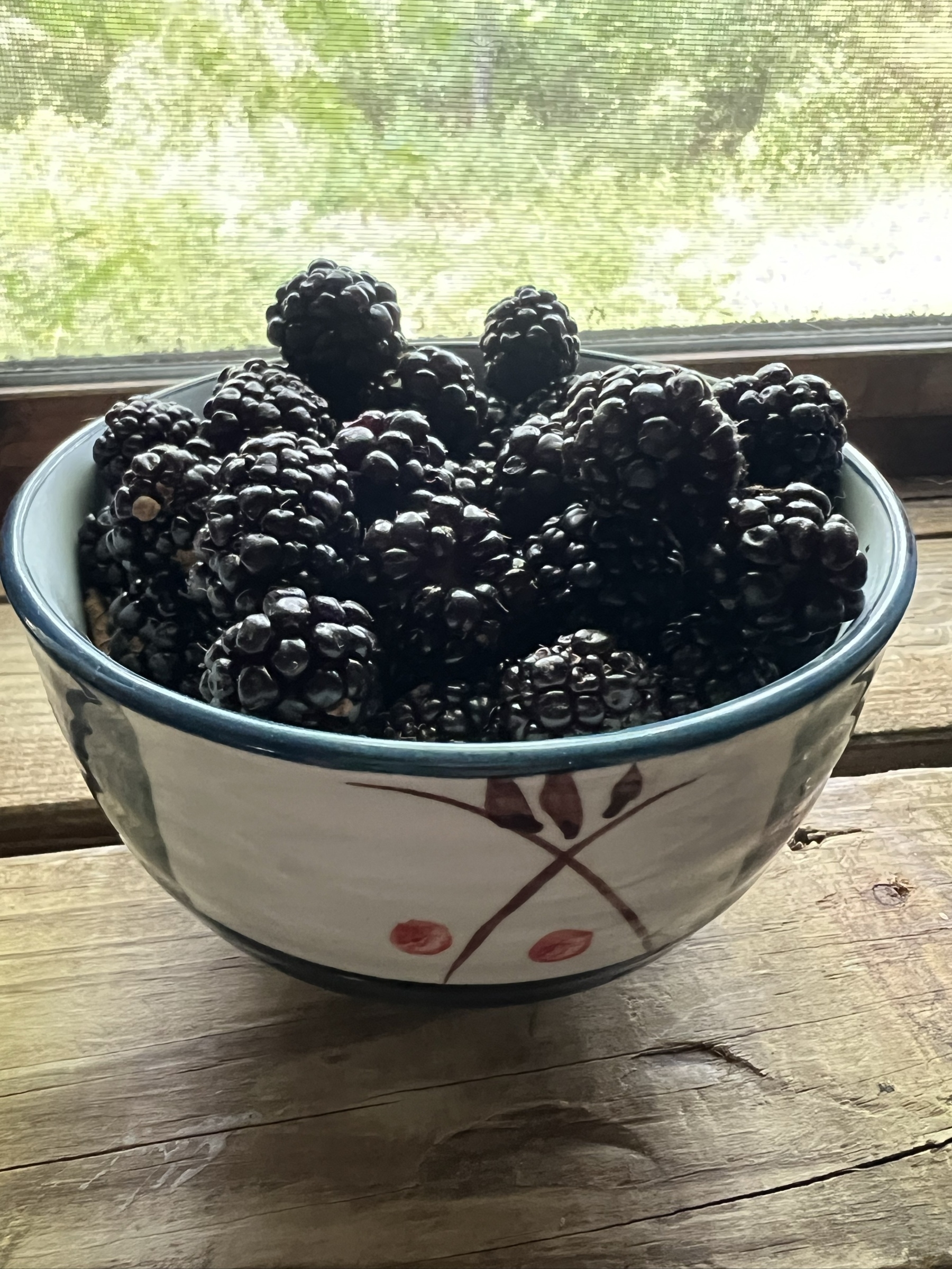 A white ceramic bowl full of ripe blackberries sits on a wood shelf.