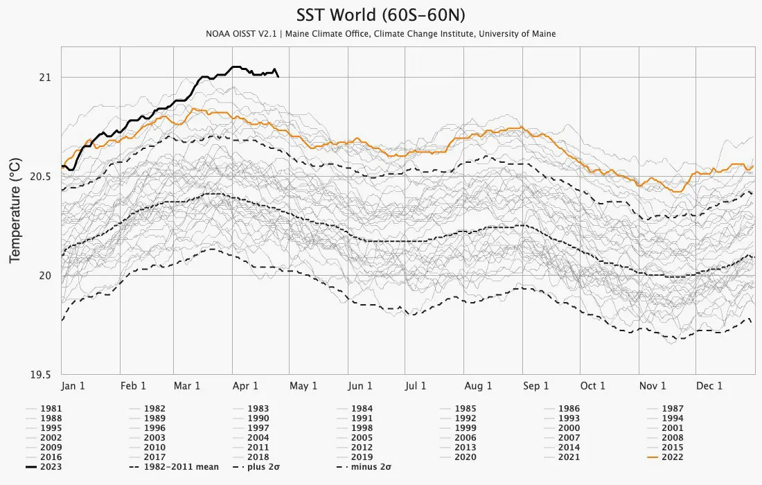 A graph titled: SST World (60S-60N) NOAA OISST V2.1 | Maine Climate Office, Climate Change Institute, University of Maine. The image depicts yearly ocean temperatures dating back to 1981. 2022 is bright gold and 2023 is bold black, both of which stand out against the gray lines of previous years. 2023 sits far atop the others and has not yet dropped down as every other year in the graph shows. Instead it has remained very high depicting an ominous change.