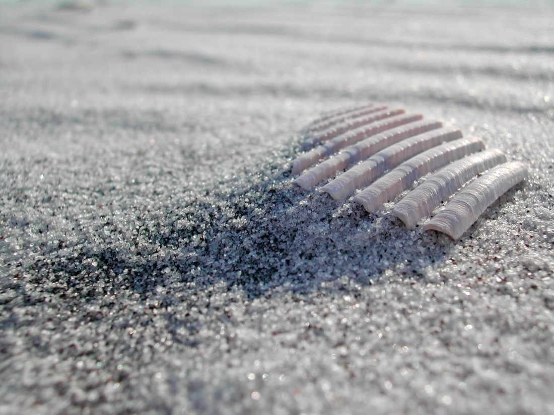 a close-up image of a seashell which  is mostly buried in white sand