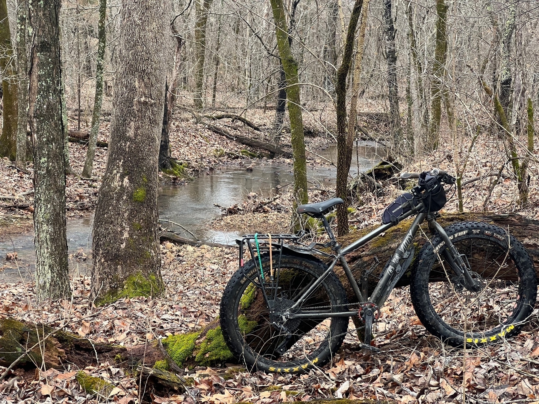 A fat tired bike leans against the moss covered remains of a fallen tree. In the background is a creek in a winter woodland.