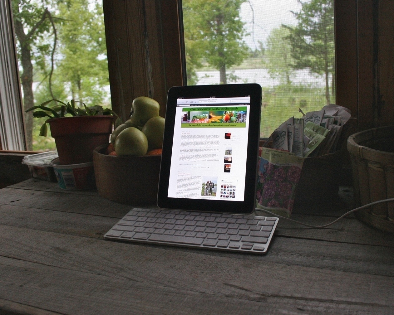 A first generation iPad is docked to the Apple Keyboard Dock for iPad. It's sitting on a wood plank table in front of a bowl of apples and near a window showing a view of trees and grass in the near distance.