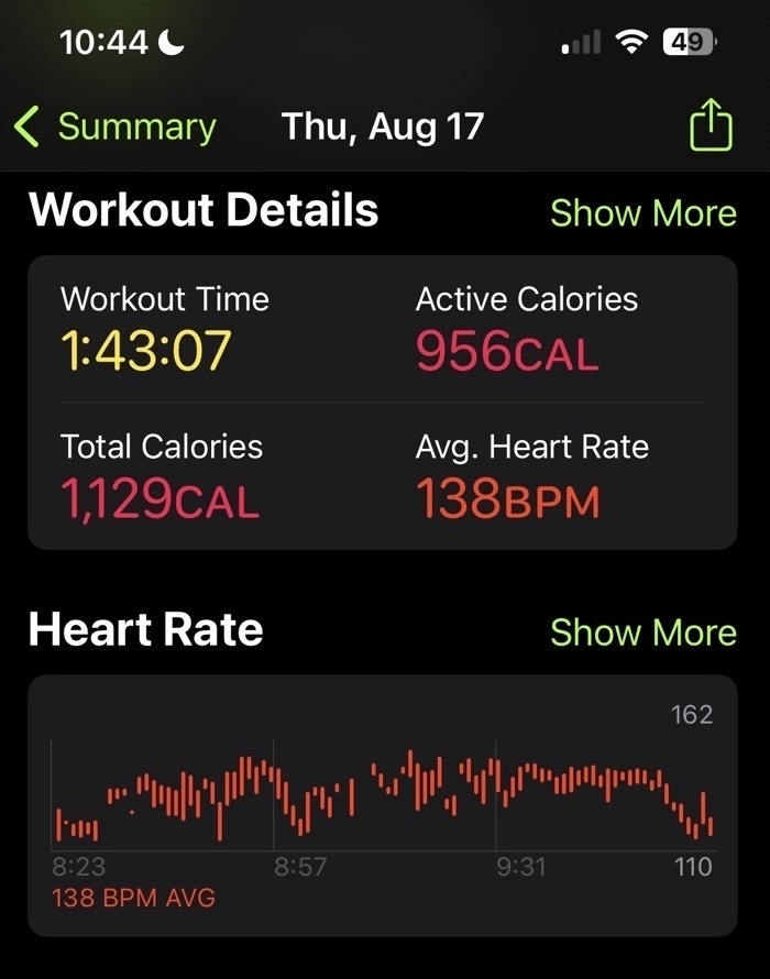 Screenshot of the Activity app on the Apple iPhone showing a workout done during the road repair
