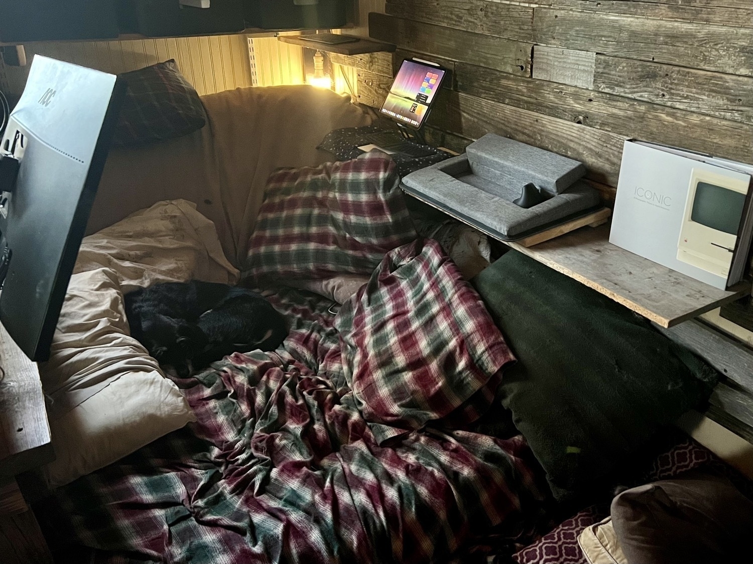 A futon on the floor of a tiny house. A dog is curled up on the futon and is nestled in with several pillows around it. there are various shelves around it. On the right side an iPad on a shelf as well as various other items