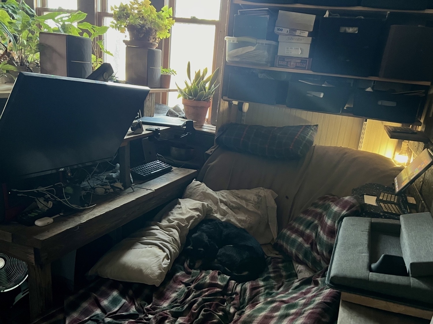 A futon on the floor of a tiny house. A dog is curled up on the futon and there are various shelves around it. To the left the shelves hold a keyboard, a monitor on an arm, speakers and plants. On the furthest side shelves with storage boxes. And to the right side an iPad on a shelf