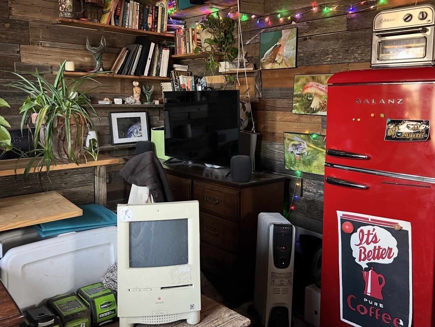 A tiny house interior with wood plank walls. On the right of the image a ed refrigerator with an Air fryer on top. To the left Of that a flat screen tv on a piece of wood furniture. There are shelves with book and photos of frogs on the walls. In the foreground an old Mac Color Classic sits on a small table next to some shelves with plants.