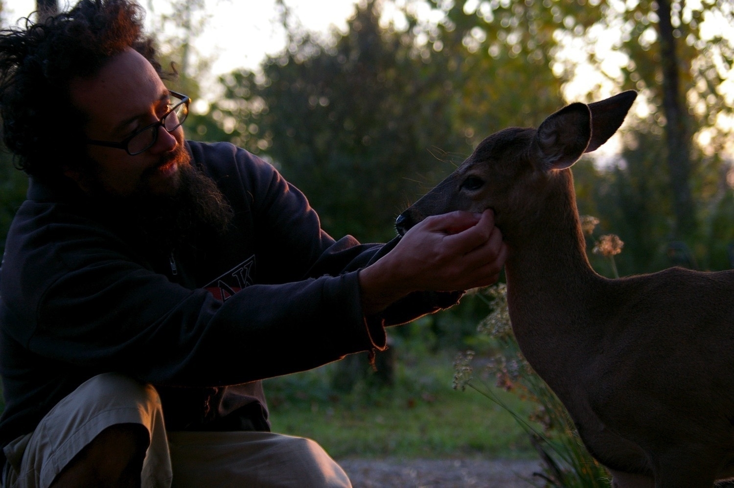 A Beardy guy with glasses looking at a small deer as he reaches out with both hands, scratching the deer's cheeks and neck 