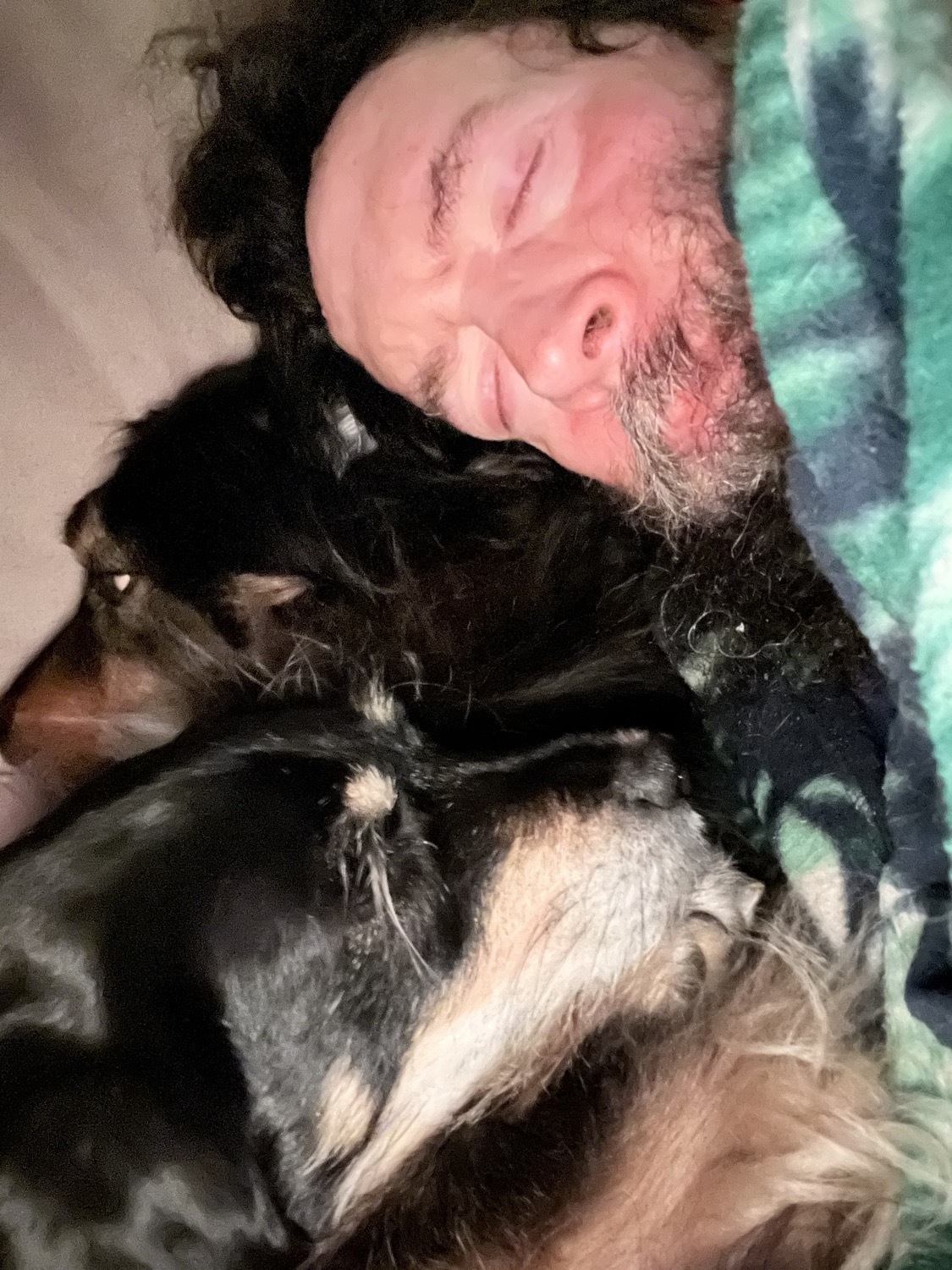 Two dogs nestled closely to a human trying to sleep
