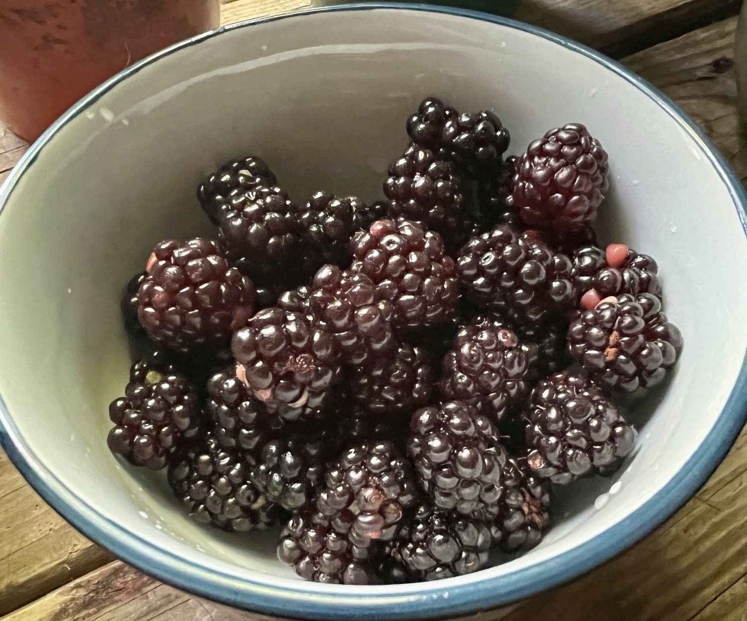 A small white porcelain bowl full of ripe blackberries