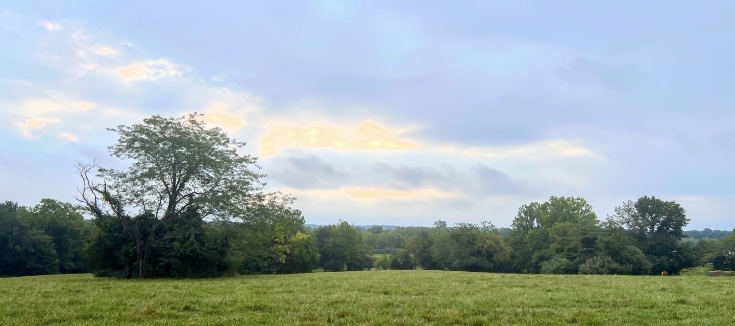 A green grass field in the foreground with lines of trees further back in the distance. The horizon line of the image hints at forest covered hills. The sky is partly cloudy, broken by multiple gaps of sunlight streaming through and lighting the clouds from behind.