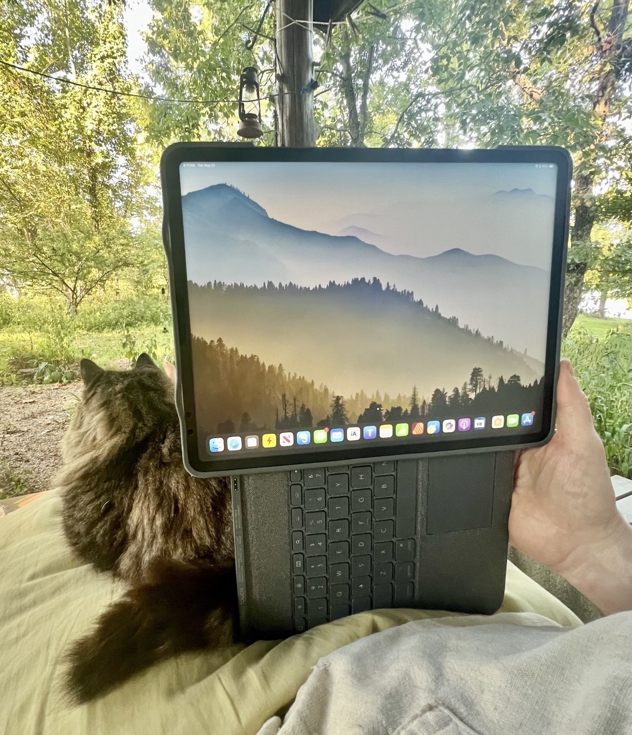 Sharing my lap with Rosie and my iPad which is in a Logitech Combo Touch case but propped up on the keyboard using the back kickstand folded over the keyboard which is being held vertically.