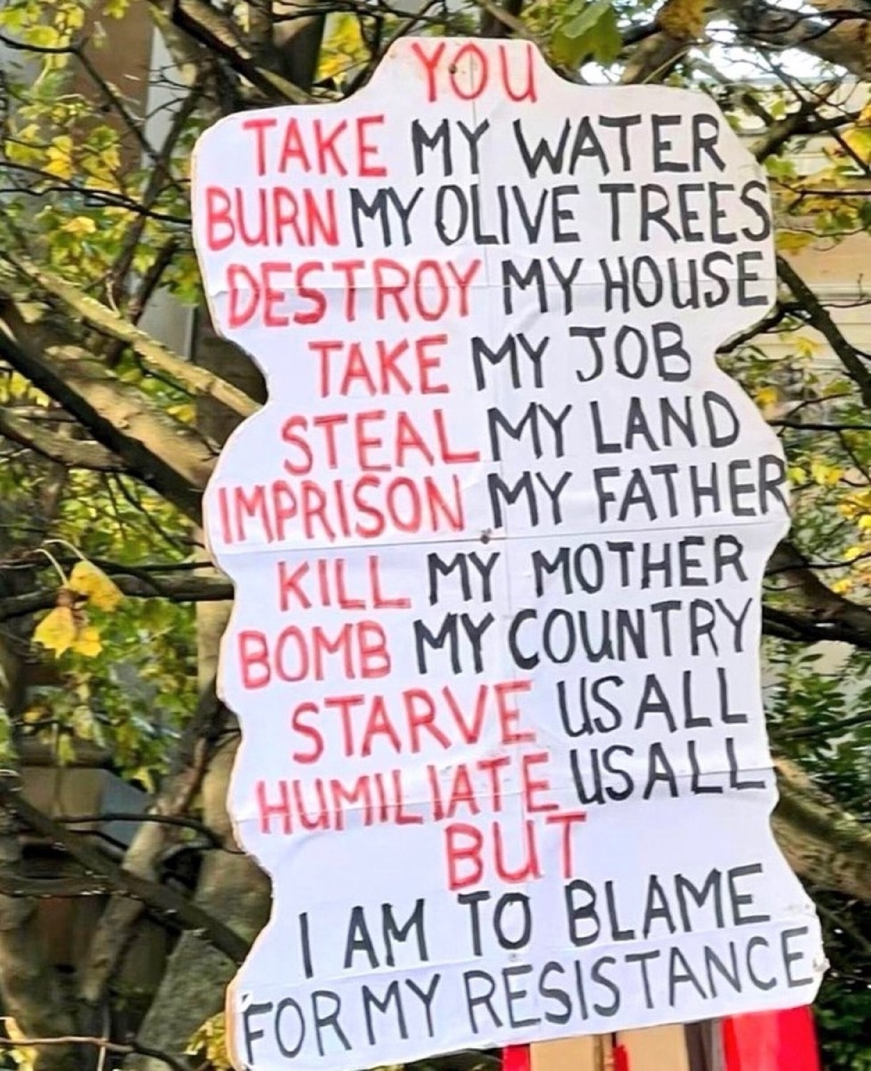 An image of a sign with this text: YOU TAKE MY WATER-BURN MY OLIVE TREES-DESTROY MY HOUSE-TAKE MY JOB-STEAL MY LAND -IMPRISON MY FATHER KILL MY MOTHER-BOMB MY COUNTRY-STARVE US ALL-HUMILIATE US ALL-BUT-I AM TO BLAME FOR MY RESISTANCE