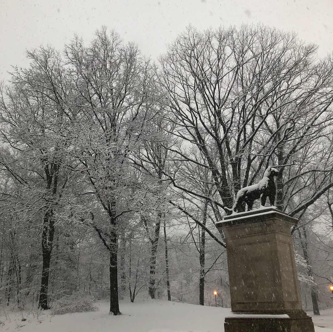 Snow in Prospect Park, Brooklyn