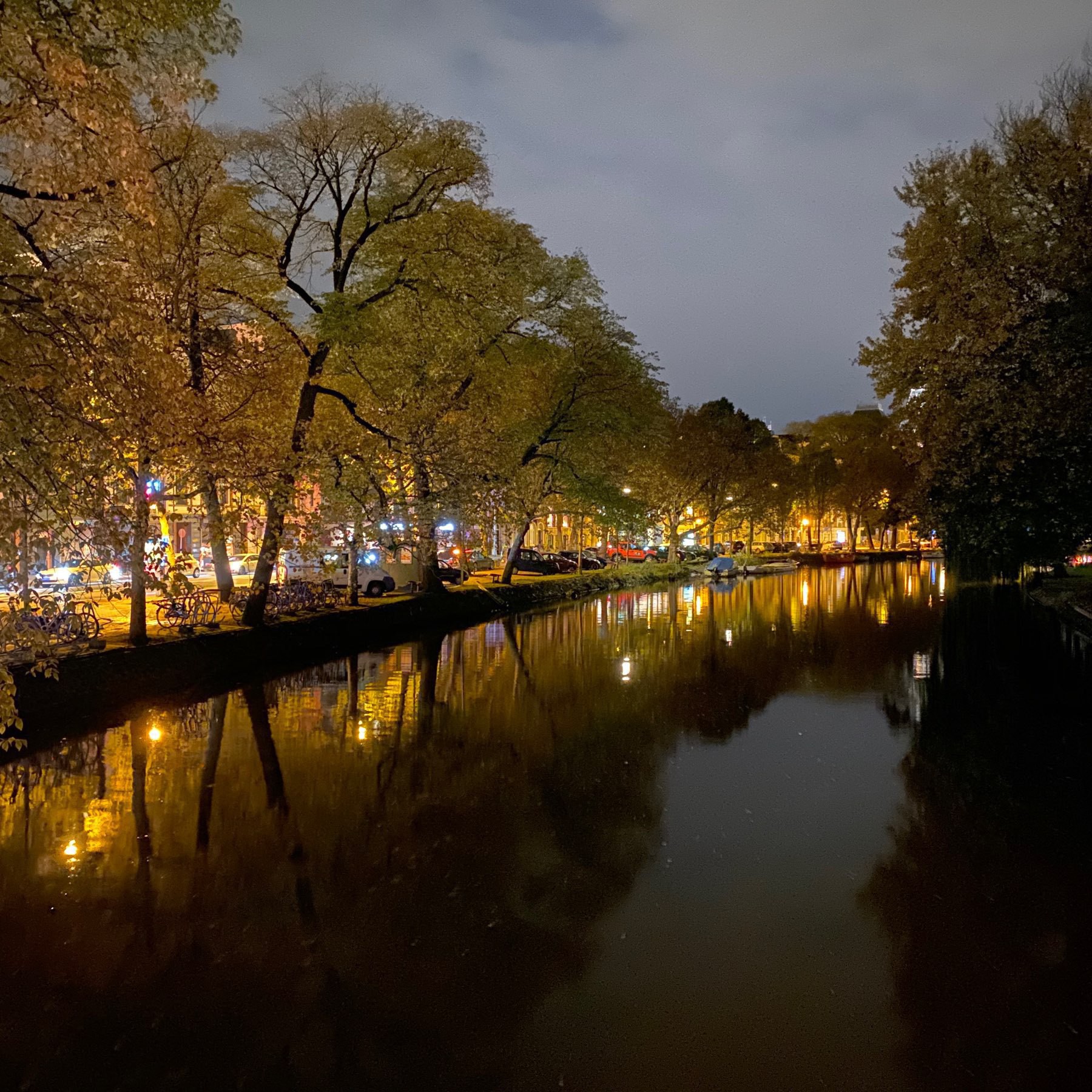Night mode picture of an Amsterdam canal with tree canopy.