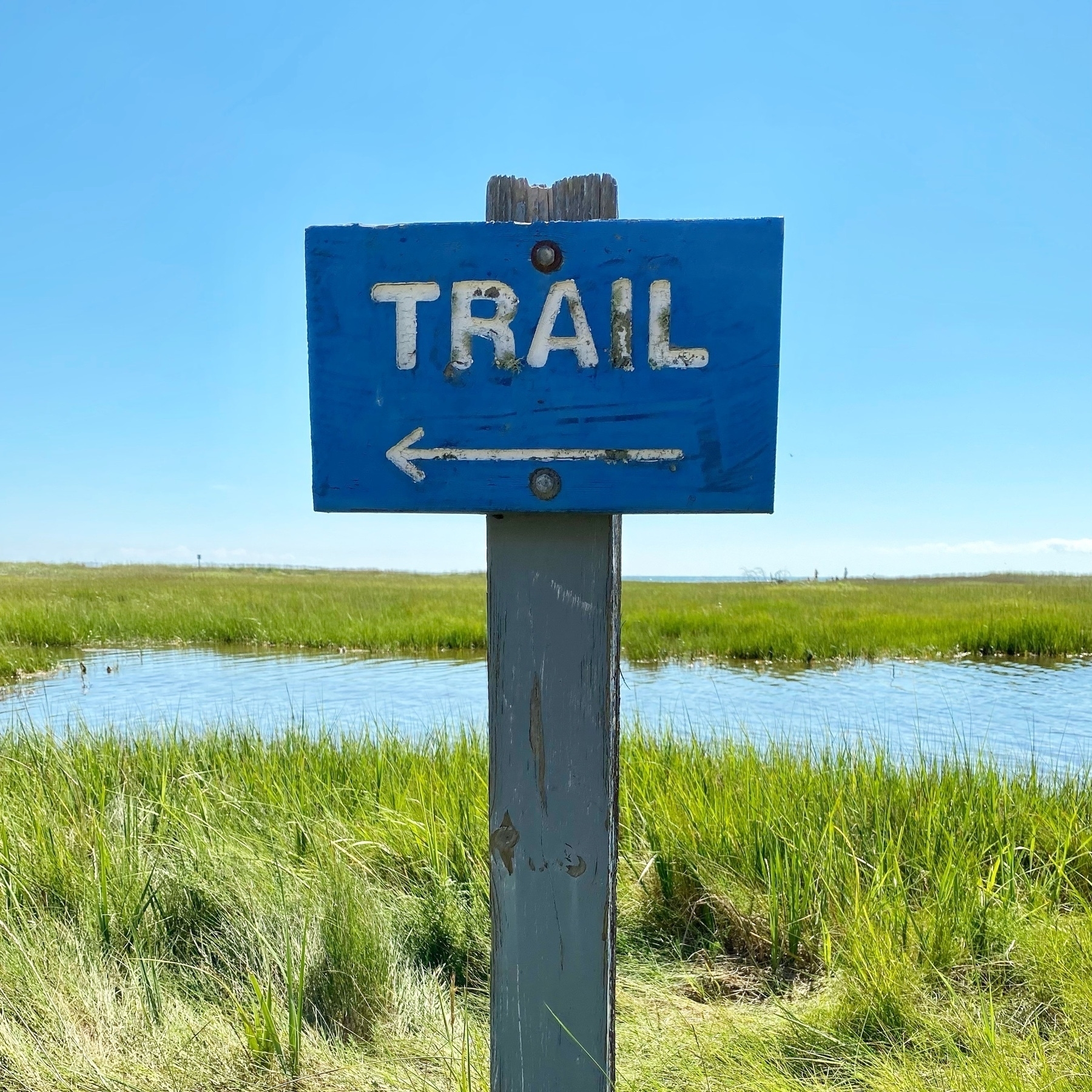 blue sign with white text "trail" against a backdrop of blue sky and beach marsh