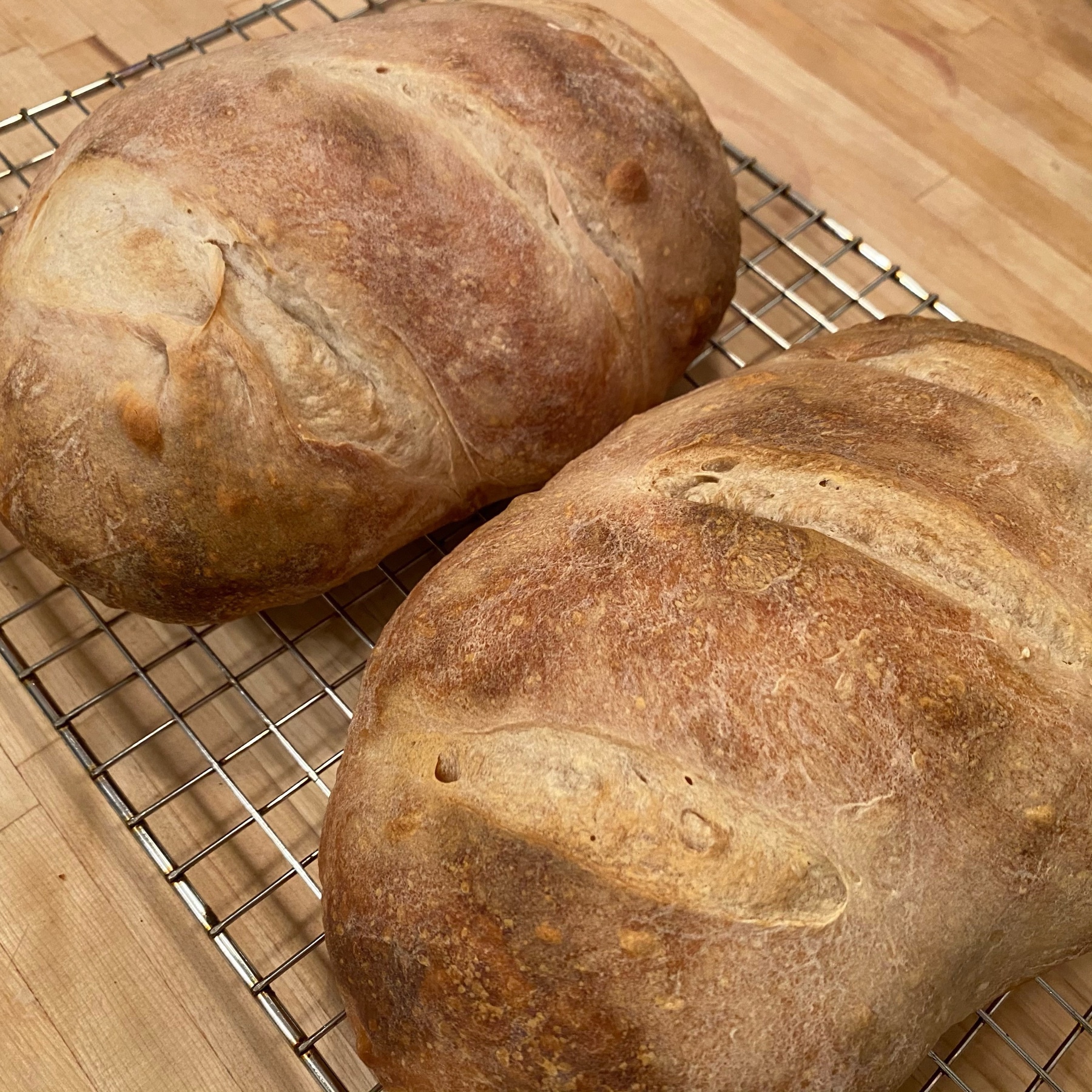 picture of two loaves of freshly baked bread