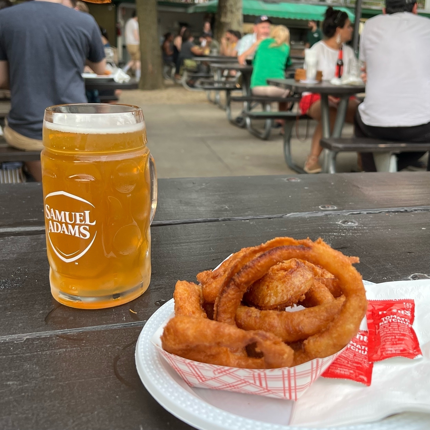 onion rings on a plate next to a full mug of beer, biergarten scene in background