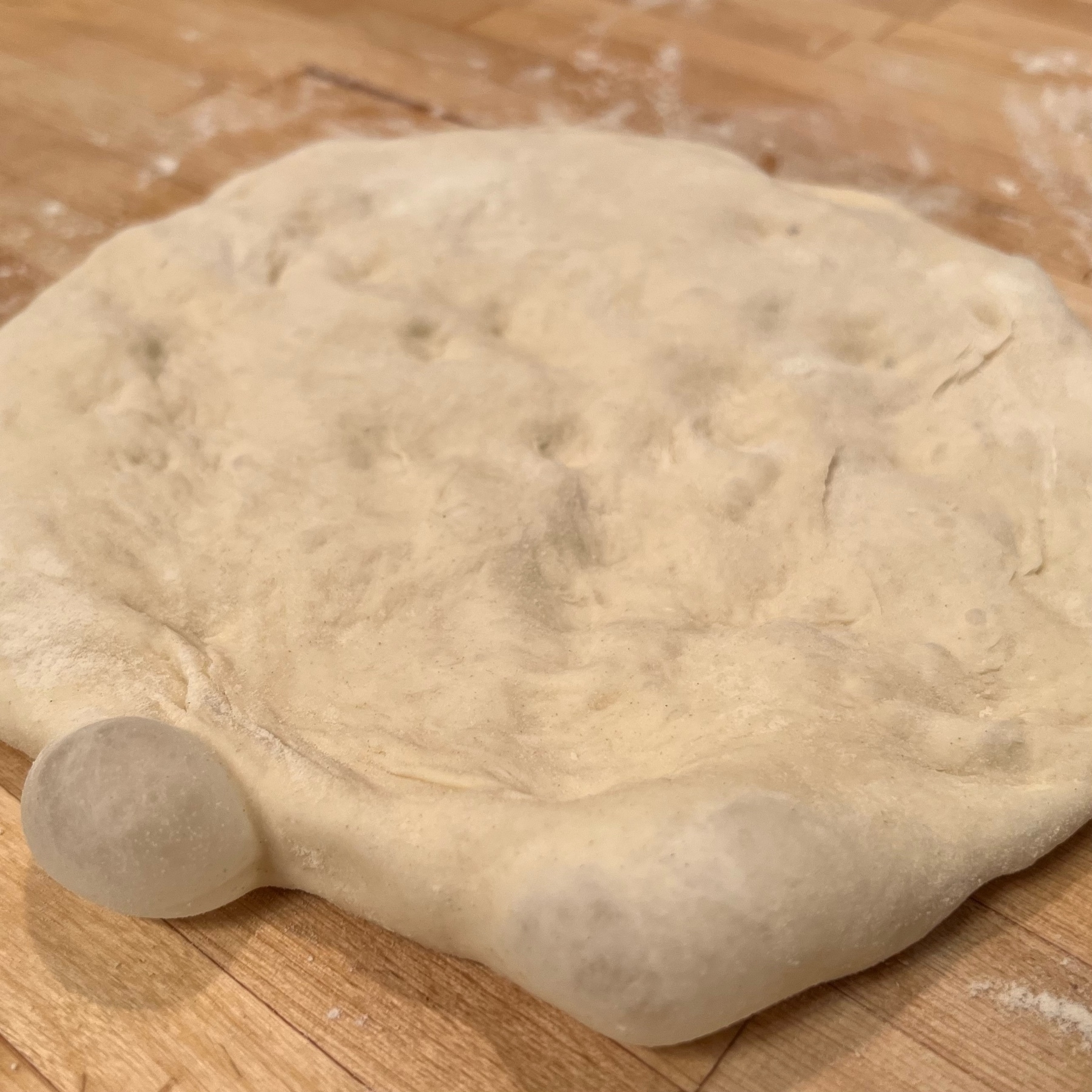 raw dough shaped in a circle with visible bubbles