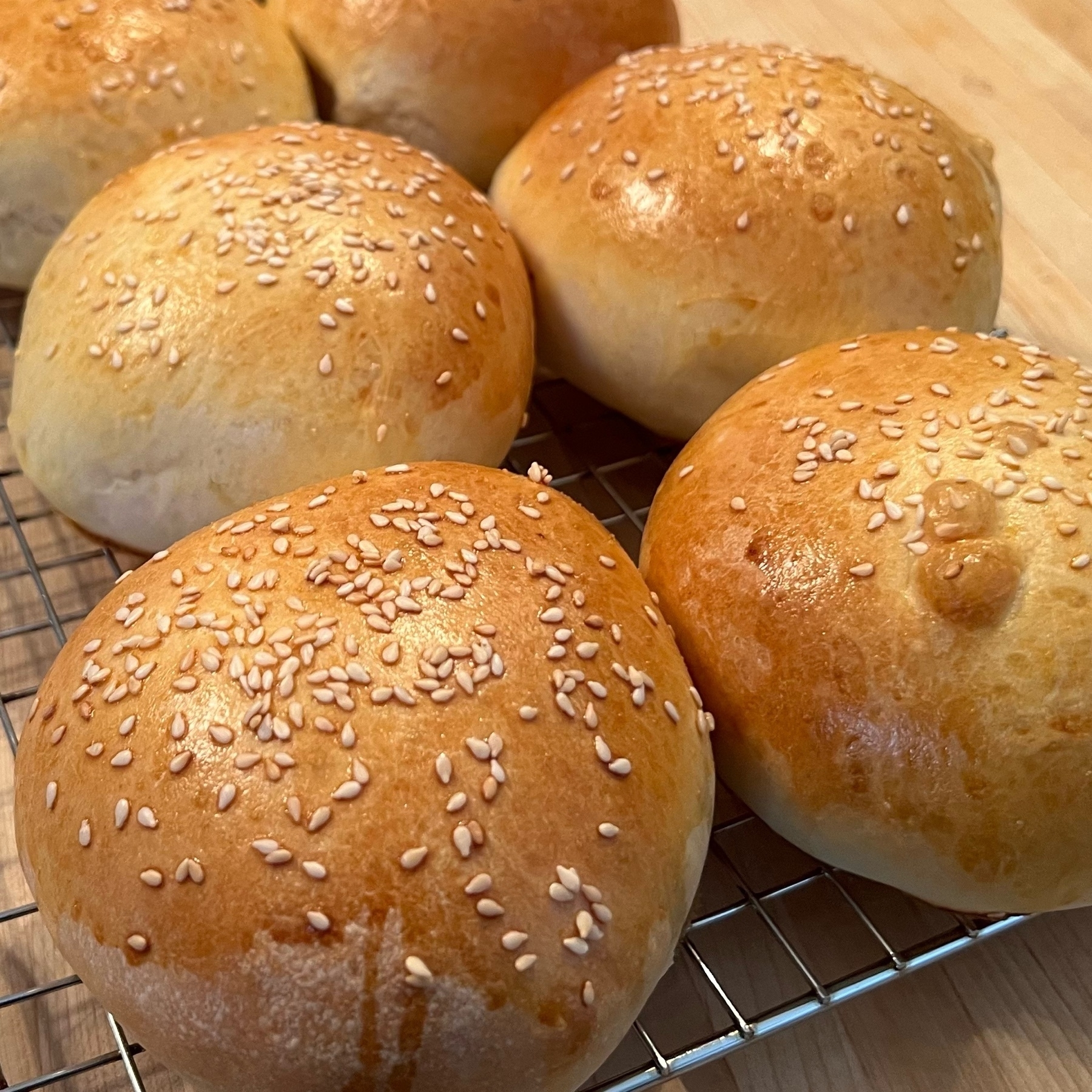 close up on fresh baked hamburger bujs, browned, with sesame seeds