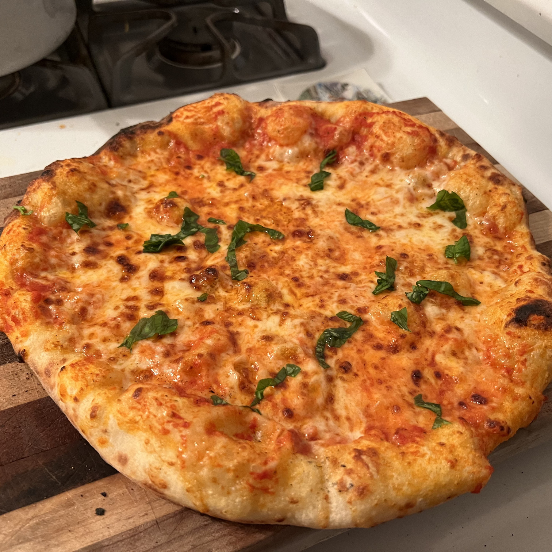 Cheese pizza with basil strips sprinkled on top. The edges of the pizza are bubbly and filled with air.