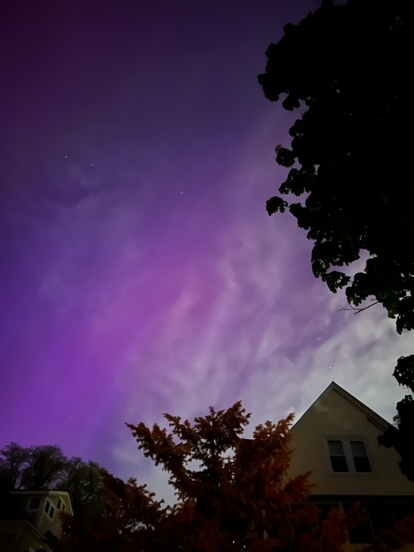 Picture of the sky with a tree and house against a backdrop of a gradient of purple, blue, and white color.