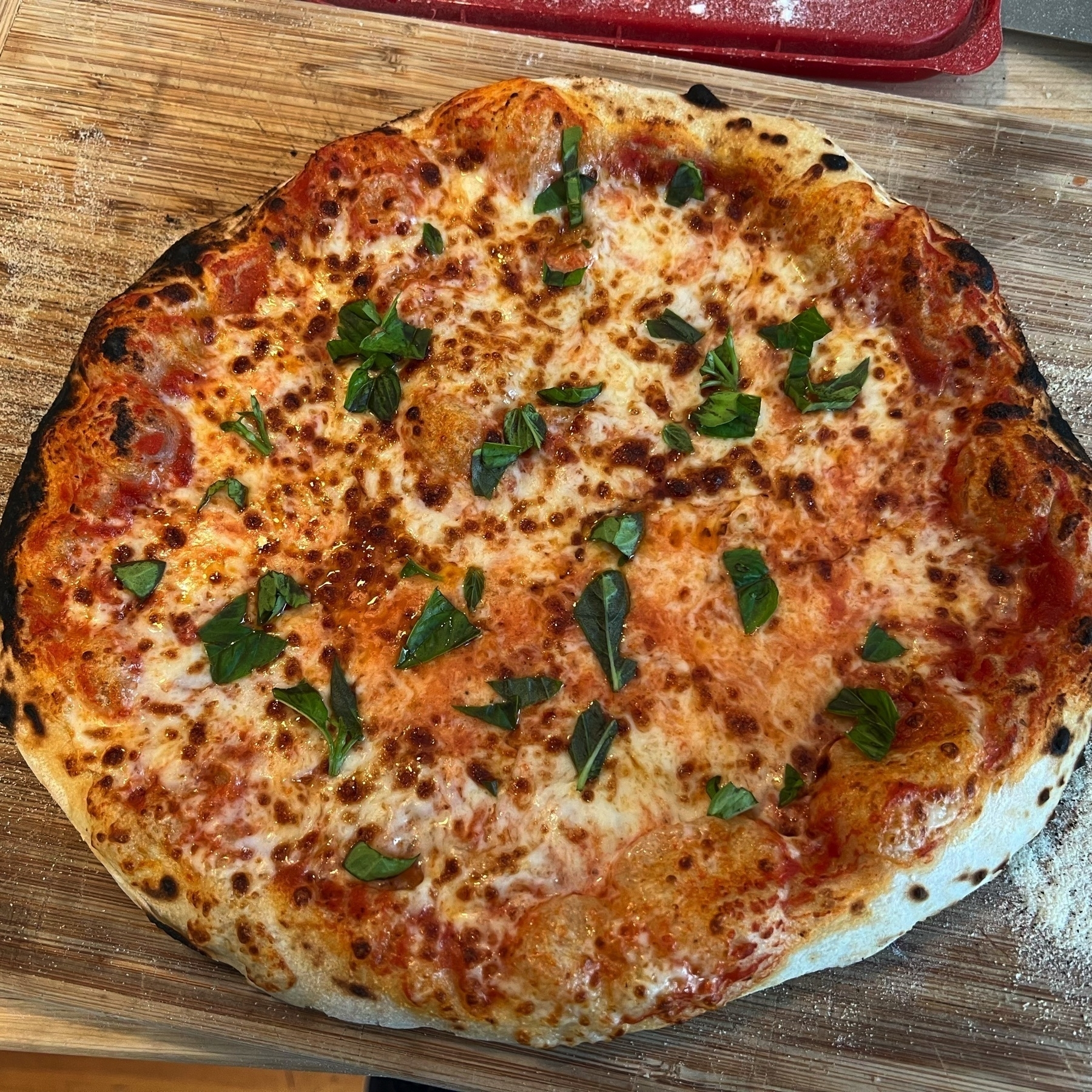 Top-down view of a cheese and basil homemade pizza with charred black edges.