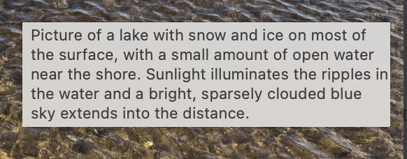 Screenshot of alt text for a published image reading "Picture of a lake with snow and ice on most of the surface, with a small amount of open water near the shore. Sunlight illuminates the ripples in the water and a bright, sparsely clouded blue sky extends into the distance."