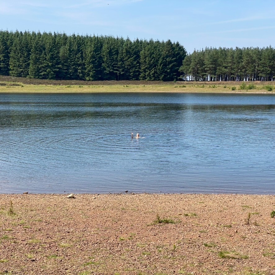 Photo of a lake with a long dry beach in front, and trees and blue sky behind. A caucasian man is floating in the middle of the lake, smiling and waving.