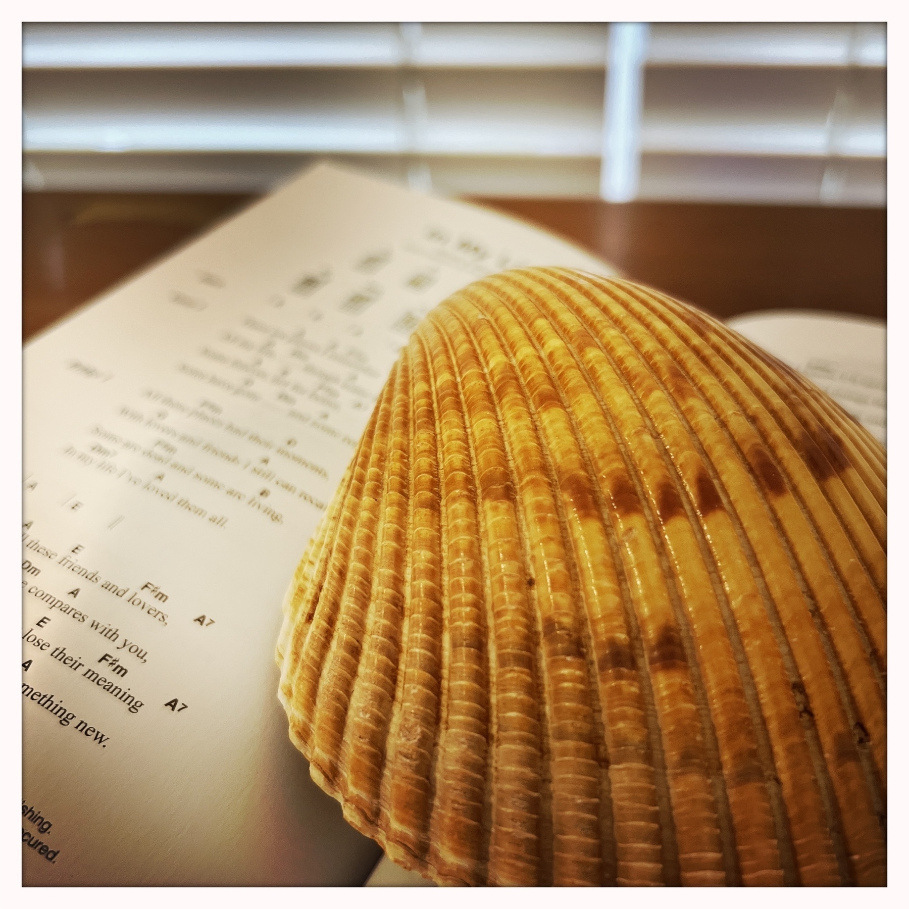 Shell and a song book